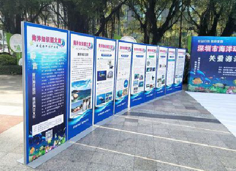 钟山KT板的种类和知识。